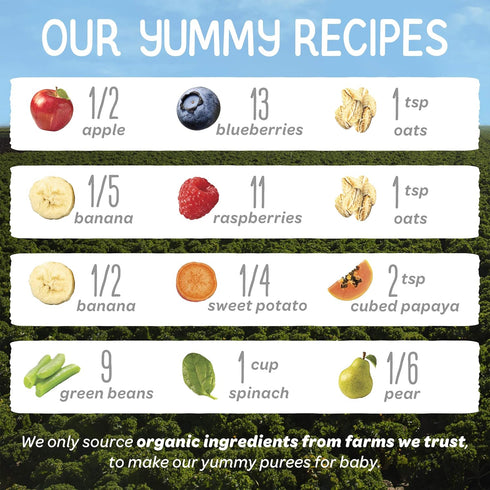 2 Pack, 4 (Pack 16), Happy Baby Organics Stage Baby Food Pouches, Gluten Free, Vegan & Healthy Snack, Clearly Crafted