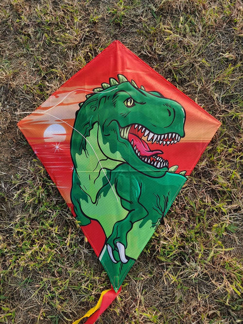HONBO DIY Kite for Kids, Beginners Kite for Children 3 Years and Up, with 2x300cm Long Tails and 60m String