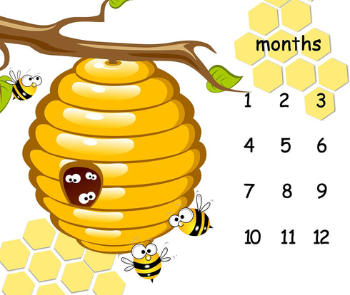 Honeycomb Bee Baby Monthly Milestone Blanket 48x40in Nursery Newmom Gifts Age Growth Tracker with Bonus Marker LHFS835 by F-FUN SOUL