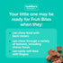 Pack 6 (72 Packs) Beech-Nut Toddler Snacks Fruti Bites with Hidden Veggies Quinoa & Chia, Fruit Snack Variety