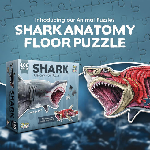 100-Piece 4-8, 3-5, 8-10 Shark Animal Anatomy Floor Puzzle | Double Sided Jigsaw Puzzle | Large Floor Puzzles for Kids