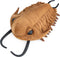 ZHONGXIN MADE Giant Trilobite Plush - 16inch Lifelike Stuffed Animal, Simulation Trilobite Plushie for Kids