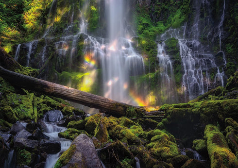 Buffalo Games - Gold - Pacific Northwest - 500 Piece Jigsaw Puzzle for Adults, 21.25 x 15.00