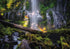 Buffalo Games - Gold - Pacific Northwest - 500 Piece Jigsaw Puzzle for Adults, 21.25 x 15.00