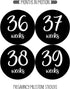 Pregnancy Weekly Belly Growth Stickers, Large Set of 36, Week to Week Photo Prop for Expecting Maternity Keepsake