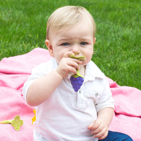 Innobaby Original Teethin Smart EZ Grip Fruit Teether and Sensory Toy for Babies, Grape, BPA Free
