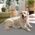 16 32 11.8 11.8 Inch Puzzle Play Mat Tiles with Border Pieces, Interlocking Stitching Mat with Border for Living Room
