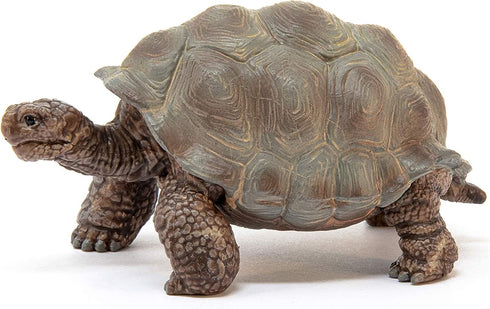 Schleich Wild Life Realistic Exotic Galapagos Giant Tortoise Figurine - Wild Animal Toy for Kids Age 3+