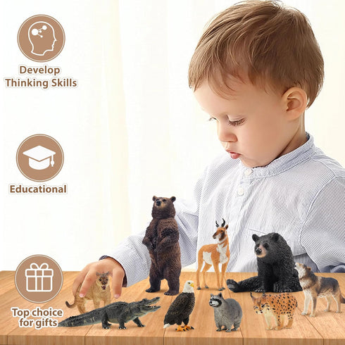 12PCS Set Toymany North American Forest Animal Figurines, Realistic Jungle Zoo Animal Includes