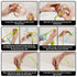 Dont Drop It Don't Drop It Silicone Suction Cup Strap Tether - Keep Cups, Bottles, Toys, and More from Hitting The