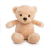 Ganz 9" Get Well Soon Teddy Bear - Gray Hoodie Feel Better Gift for Kids & Women