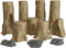 Beech Trees Set of 2