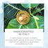 Symmetrical - Shorter Nipple Less Gagging - Small Newborn - Natural Rubber Pacifier - BPA-Free - Soft - Handcrafted