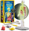 National Geographic Human Body Model for Kids, 32-Piece Interactive Anatomy Model with Bones, Organs, Muscles, Stand