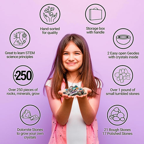 (250 Set) DANCING BEAR Rock, Mineral & Geodes Treasure Hunt Activity Kit Pc Real Shark Teeth Fossils, ID Sheet & Rock