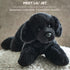 Bearington Collection Lil' Jet - 8 Inch Black Lab Stuffed Animal