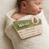 TTMerriwood 6.5" Adventure Hello World I'm Here Sign, Wooden Retro Birth Announcement Prop, Camping Nursery Keepsake