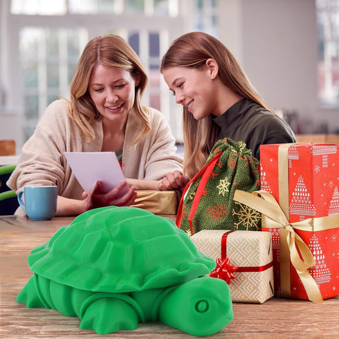 EAMC XHXX Mini Desktop Turtle Sandbox with Soft Sand and Small Tools -Premium Sand Garden for Desk Kit - Mini Zen