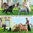 12PCS 2-3" Set, Toymany Tiny Horse Figurines Toy Plastic Pony Small Foal Figures, Birthday Gift Cupcake Horse Cake