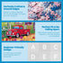 EIYRURU 300 (20.5" 15") Piece Jigsaw Puzzle for Adults Spring Farmyard Delight with Quilts & Tulips Challenging