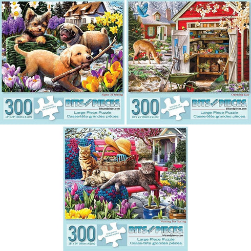 Bits and Pieces - Value Set of Three (3) - 300 Piece