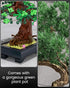 SHAREHB Sets 4 1 Bonsai Tree Building - in Four Seasons Bonsai DIY Building Blocks Toy, Artificial Bonsai Tree Plants