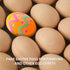 24 CALPALMY Pieces Wooden Eggs - Life-Size, Reusable Fake Easter Eggs for Painting, Decorating, Crafting, Pretend Play