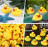 50-Piece Mini Rubber Duck Bath Toys - Float & Squeak Fun