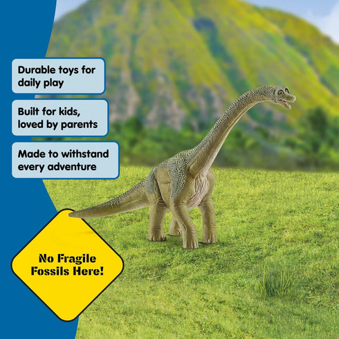9.5" 4+ 14581 Schleich Dinosaurs - Brachiosaurus - Realistic, Durable Green Dinosaur Toy - Educational Fun Long Neck