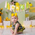 1st ZAIBIANHAO Lemon First Birthday High Chair Banner - Lemonade Birthday One Garland, Fruit Theme Party