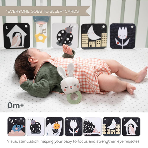 Taf Toys Newborn Bedtime Kit with 12 Activities for Smooth Bedtime Routine, Music and Light Unit, Ideal for New Baby