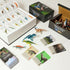 50 3 4 5 6 7 8 12 BIWASE Dinosaur Toys Book with PCS Different Dinosaurs Figures & Pokers,Interactive Perfect for Kids