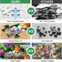 VOLUVOLU 300 Hummingbird 20.5x15 Piece Puzzle for Adults, Colorful Birds Jigsaw Puzzle, Colorful Animals Puzzles, Bird