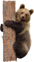 Madd Capp Puzzles Jr. - I AM Lil’ Bear - 100 Pieces Animal Shaped Jigsaw Puzzle