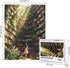 Quelindra 500 500 Library Jigsaw Puzzle PiecesLibrary Bookshelf Jigsaw Puzzles,Plant Bookshelf Puzzles, Library Retro