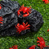 50 Lewtemi Pcs Mini Red Crab/Crawfish Toy Soft TPR Rubber Fake Crab Models Lifelike Crawfish Decorations for Early