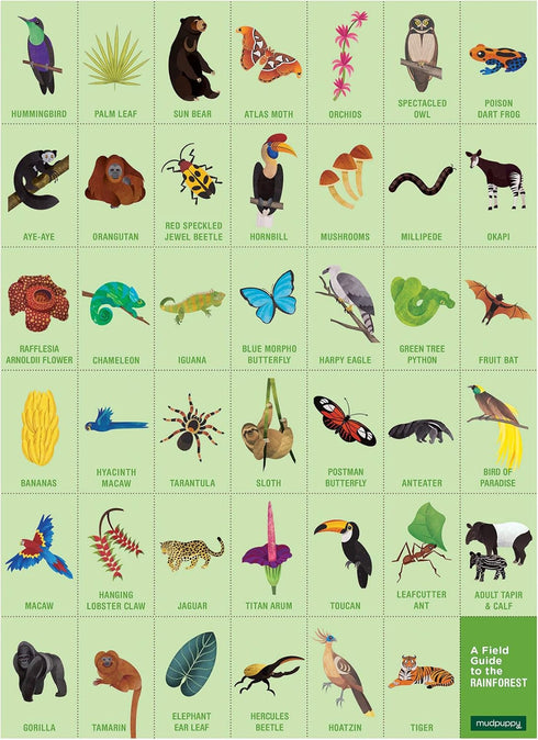 Mudpuppy 64 Piece Rainforest Search & Find Puzzle Featuring Diverse Exotic Animals for Ages 4+