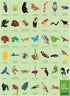 Mudpuppy 64 Piece Rainforest Search & Find Puzzle Featuring Diverse Exotic Animals for Ages 4+