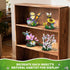 Set, 2059 6+ Ideas Insect Collection Building PCS - Butterfly Orchid Mantis Bee Dragonfly Display Model for Nature