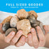 NATIONAL GEOGRAPHIC Break Open 15 Premium Geodes with Goggles, Learning Guide, Great STEM Science Toy