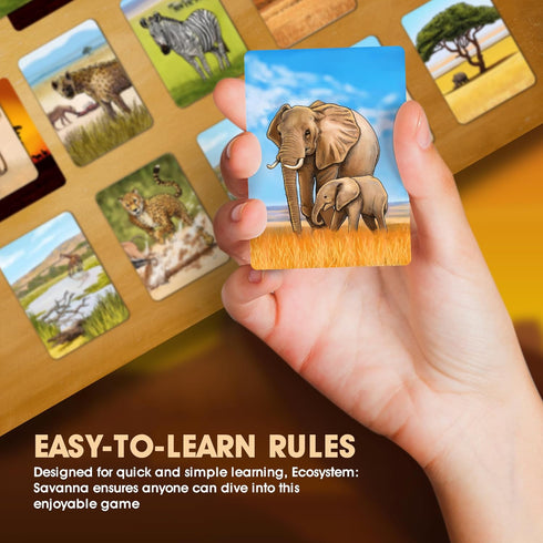 Ecosystem: Savanna - Family Card Game about Animals on African Savanna - Fun & Educational Strategy Game