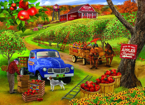 SUNSOUT INC - Pick Ur Own Apples - 500 pc Large Pieces Jigsaw Puzzle by Artist Bigelow Illustrations