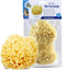 Baby Buddy Natural Wool Sea Sponge, Ultra Soft Newborn Bath Time Essential, Hypoallergenic & Biodegradable, 2 Pack