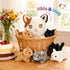5PC Mommy 4 Onsoyours Original Cat Stuffed Animals with Babies Inside, Kawaii Kiity Plush with & Kittens - Cute