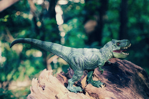 13" Tyrannosaurus Rex Dinosaur Toys - Realistic T-Rex Action Figure Toy Jurassic Trex Figurine Model Prehistorical World for Kids Boys Girls 3+