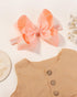 jollybows 20pcs Baby Girls Grosgrain Ribbon Hair Bows Headbands, 6" Elastic Hair Accessories (Multicoloured)