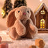 TCBunny 11" Baby Bunny Bedtime Stuffed Animal, Plush Easter Stuffers for Kids