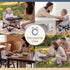 6-36 Toddler Booster Seat for Kitchen Chair & Travel - Portable Foldable with Removable Tray, Baby Camping Chair Months