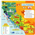 Little Buffalo State Puzzle: California - Learning & Education for Kids Ages 4 and Up
