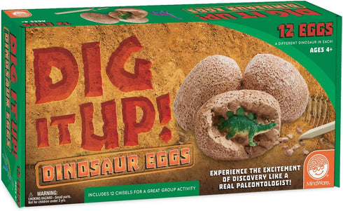 Excavate Your Own Dinosaur Eggs Kit - Educational Digging Adventure